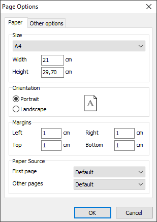 Page options | FastReport VCL